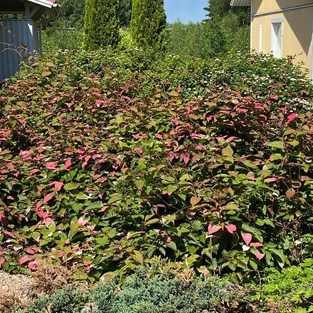 Talo Merikarvian Keskustassa Lahella Merta! *