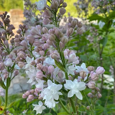 Apartment Talo Merikarvian Keskustassa Lahella Merta! Merikarvia