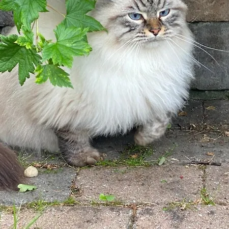 Talo Merikarvian Keskustassa Lahella Merta!