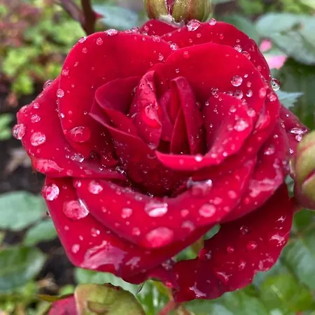 Apartment Talo Merikarvian Keskustassa Lahella Merta!