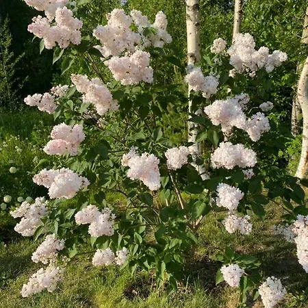 Talo Merikarvian Keskustassa Lahella Merta!