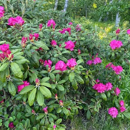 Talo Merikarvian Keskustassa Laehellae Merta! *