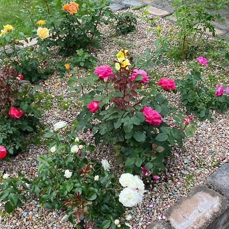 Talo Merikarvian Keskustassa Lahella Merta! * Merikarvia