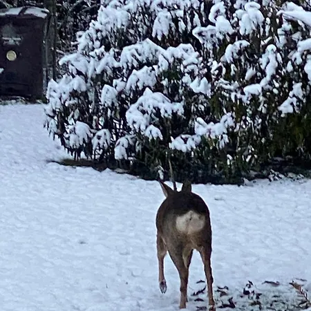 Appartement Talo Merikarvian Keskustassa Laehellae Merta!