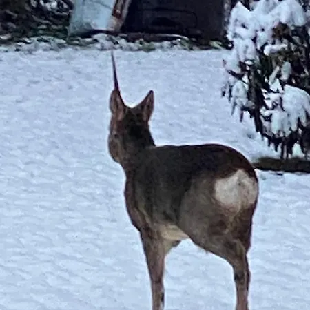 Talo Merikarvian Keskustassa Laehellae Merta!