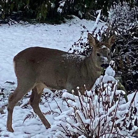 Talo Merikarvian Keskustassa Lahella Merta! * Merikarvia