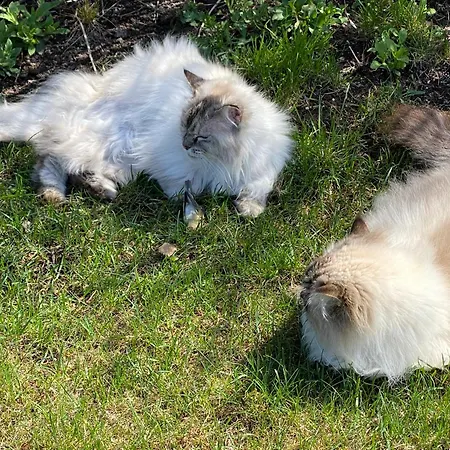 Talo Merikarvian Keskustassa Lahella Merta! Merikarvia