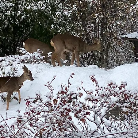 Talo Merikarvian Keskustassa Lahella Merta! *