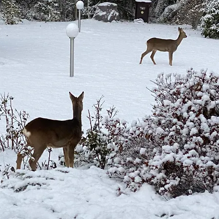 Talo Merikarvian Keskustassa Lahella Merta! Apartment *