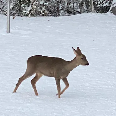Talo Merikarvian Keskustassa Lahella Merta! Apartment *