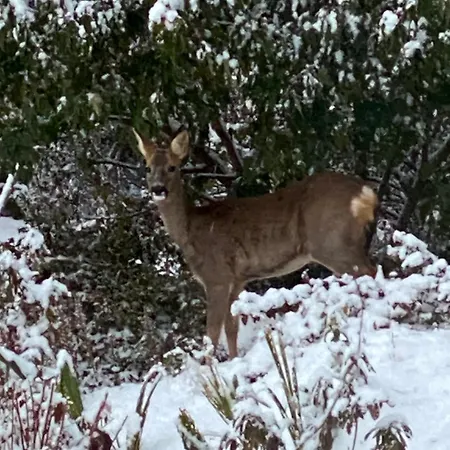Apartment Talo Merikarvian Keskustassa Lahella Merta!