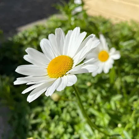 Talo Merikarvian Keskustassa Lahella Merta! *