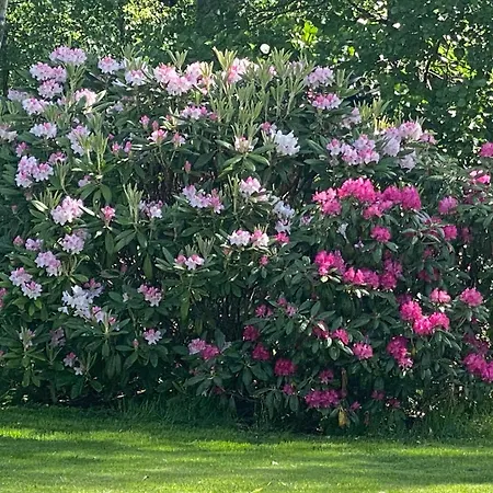 Talo Merikarvian Keskustassa Laehellae Merta! Merikarvia