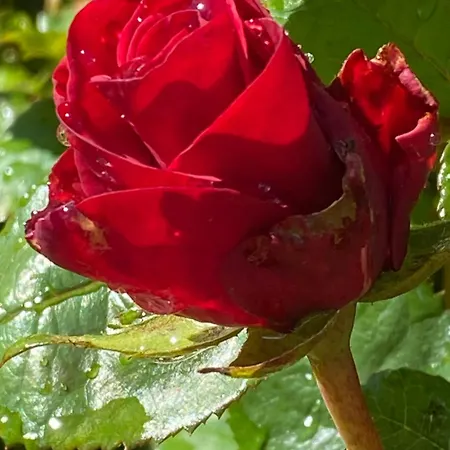 Appartement Talo Merikarvian Keskustassa Laehellae Merta!