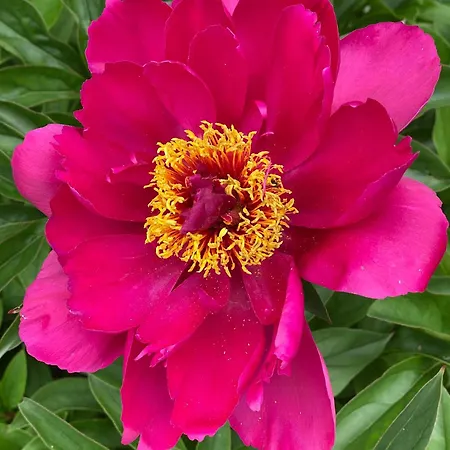 Talo Merikarvian Keskustassa Lahella Merta! Apartment *