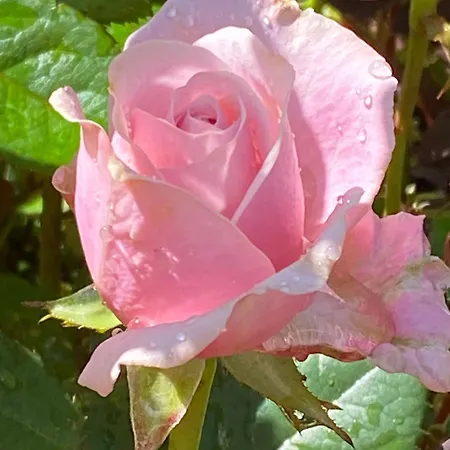 Apartment Talo Merikarvian Keskustassa Lahella Merta! Merikarvia