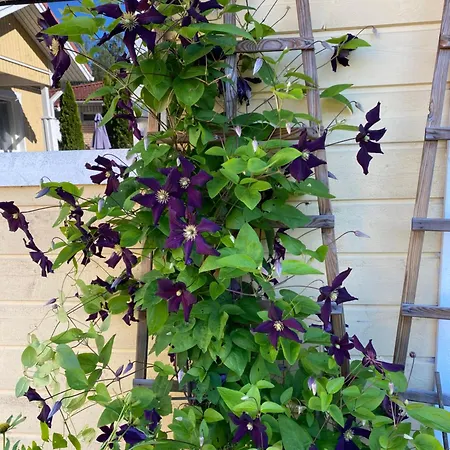 Talo Merikarvian Keskustassa Laehellae Merta! Appartement Merikarvia