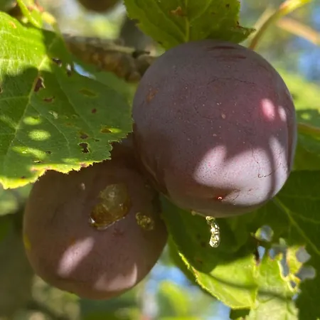 Talo Merikarvian Keskustassa Laehellae Merta! Appartement *