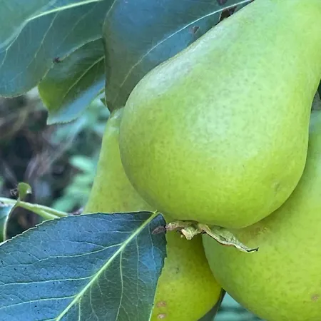 Talo Merikarvian Keskustassa Laehellae Merta! Appartement Merikarvia