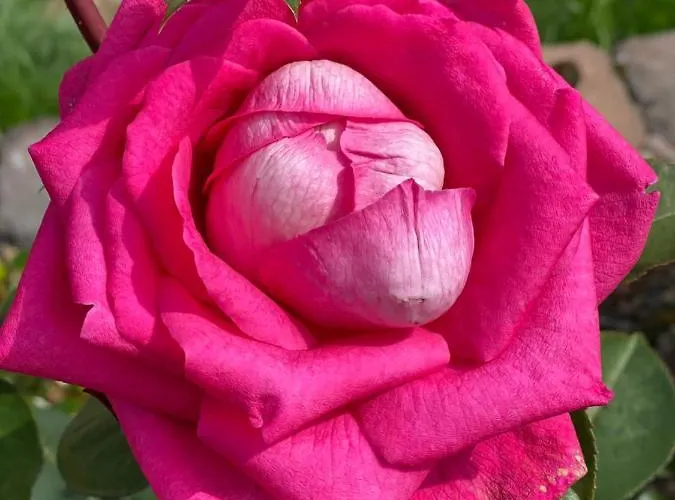 Talo Merikarvian Keskustassa Laehellae Merta! Merikarvia