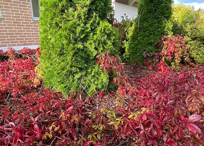 Talo Merikarvian Keskustassa Laehellae Merta! *