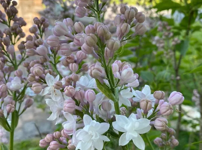Appartement Talo Merikarvian Keskustassa Laehellae Merta! Merikarvia