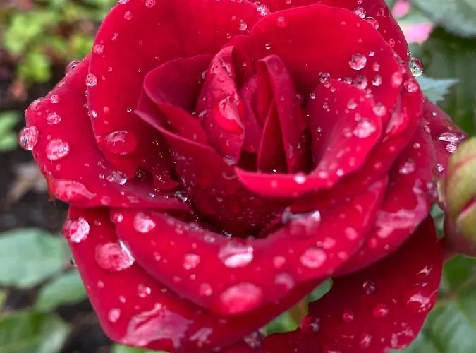 Апартаменты Talo Merikarvian Keskustassa Laehellae Merta!