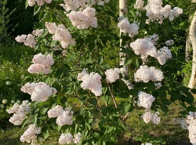 Talo Merikarvian Keskustassa Laehellae Merta!