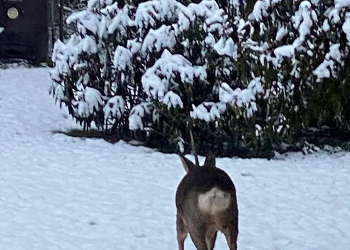 Апартаменты Talo Merikarvian Keskustassa Laehellae Merta!