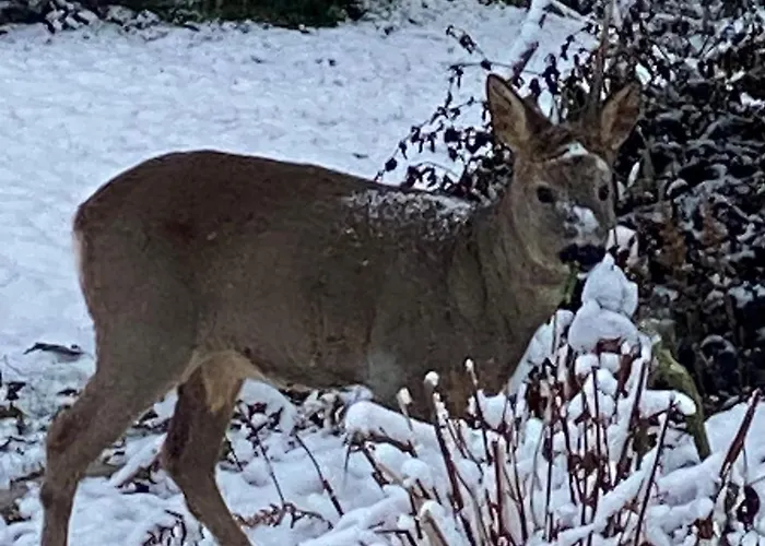 Talo Merikarvian Keskustassa Laehellae Merta! * Merikarvia