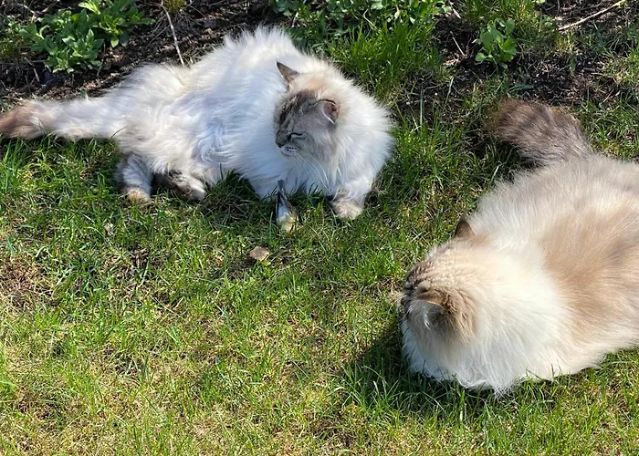 Talo Merikarvian Keskustassa Laehellae Merta! Merikarvia