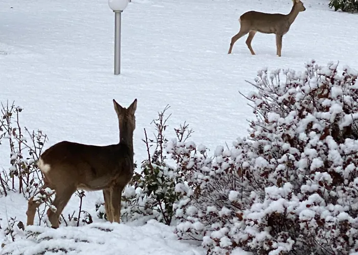 Talo Merikarvian Keskustassa Laehellae Merta! Appartement *