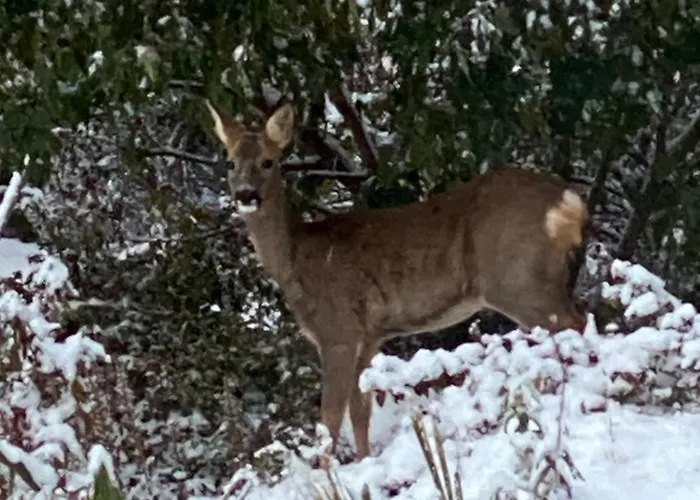 Appartement Talo Merikarvian Keskustassa Laehellae Merta!