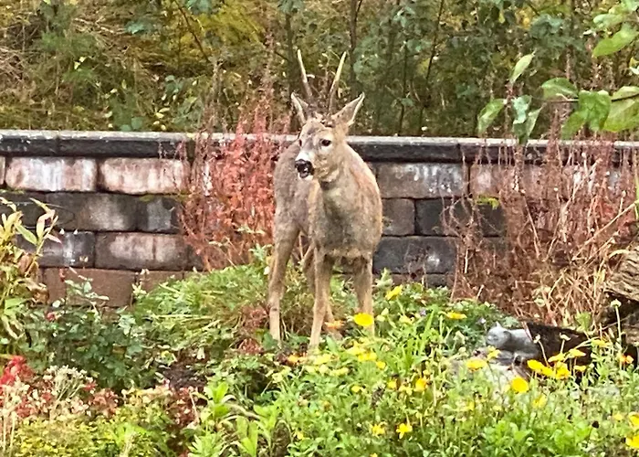 Talo Merikarvian Keskustassa Laehellae Merta! Merikarvia