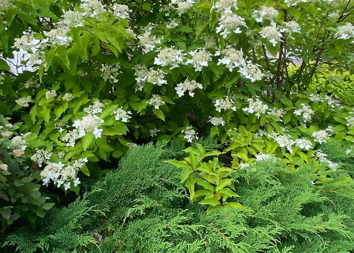 Talo Merikarvian Keskustassa Laehellae Merta! アパート Merikarvia