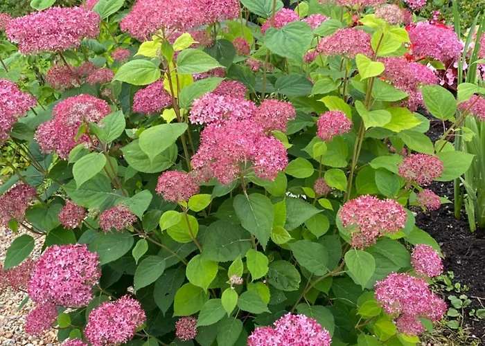 アパート Talo Merikarvian Keskustassa Laehellae Merta!