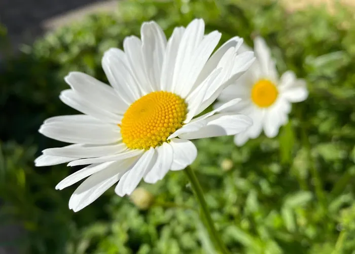 Talo Merikarvian Keskustassa Laehellae Merta! *