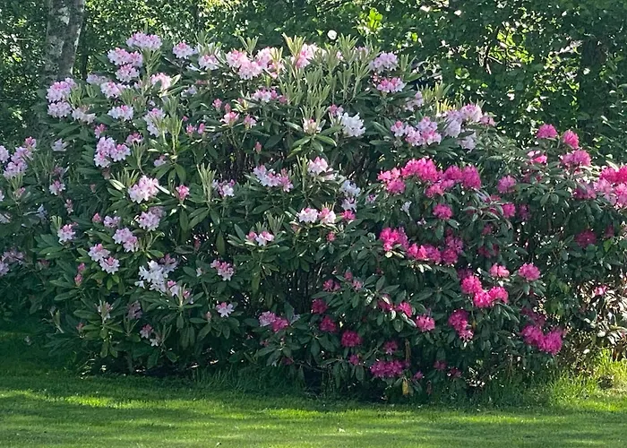 Talo Merikarvian Keskustassa Laehellae Merta! Merikarvia