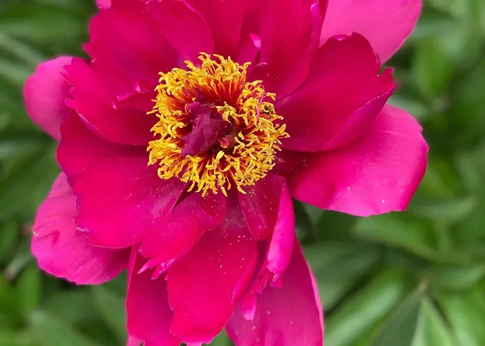 アパート Talo Merikarvian Keskustassa Laehellae Merta! Merikarvia