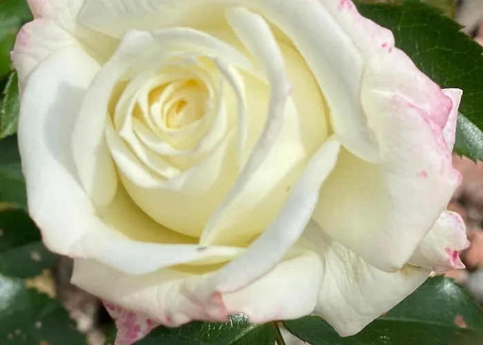 Talo Merikarvian Keskustassa Laehellae Merta! * Merikarvia