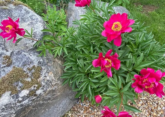 Talo Merikarvian Keskustassa Laehellae Merta! * Merikarvia