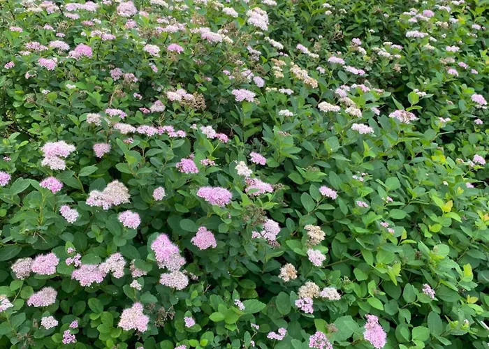 アパート Talo Merikarvian Keskustassa Laehellae Merta!