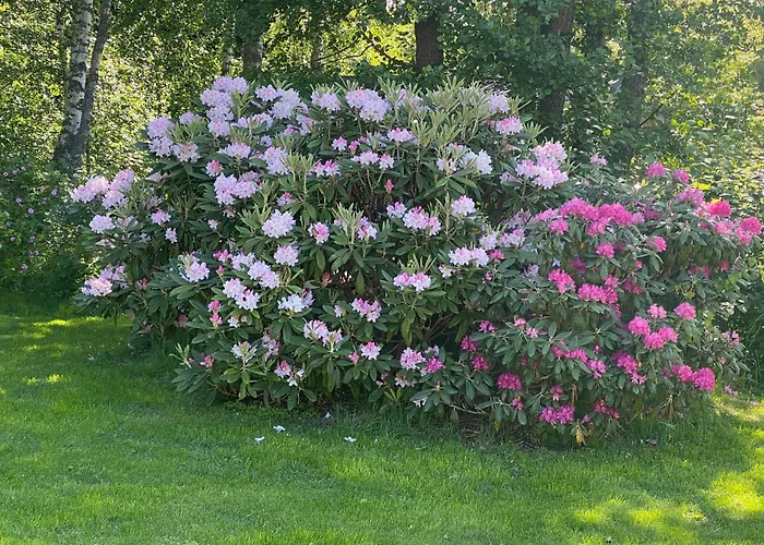 アパート Talo Merikarvian Keskustassa Laehellae Merta! *