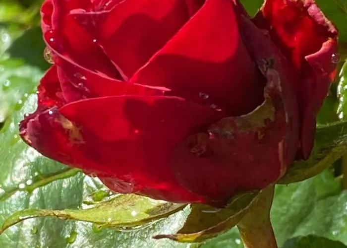 Appartement Talo Merikarvian Keskustassa Laehellae Merta!