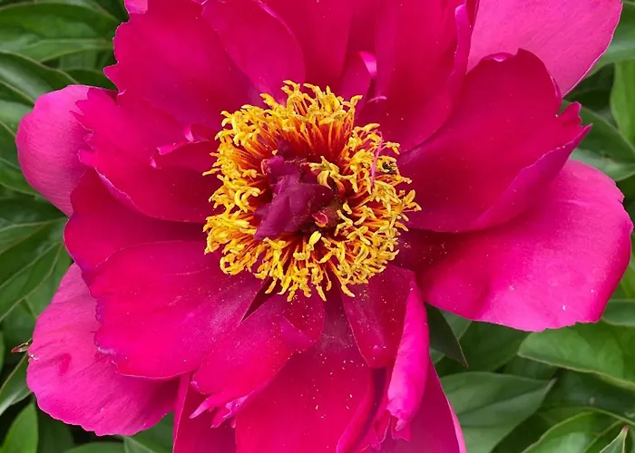 Talo Merikarvian Keskustassa Laehellae Merta! Appartement *