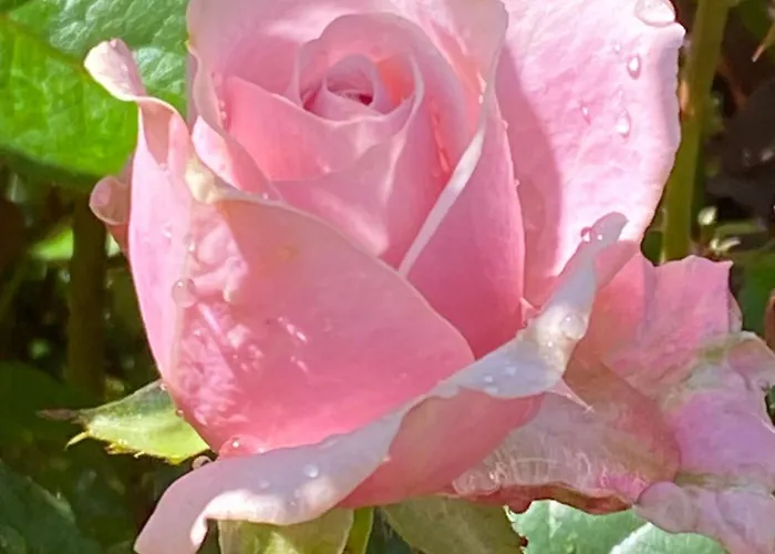 Апартаменты Talo Merikarvian Keskustassa Laehellae Merta! Merikarvia