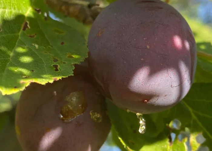 Talo Merikarvian Keskustassa Laehellae Merta! Appartement *