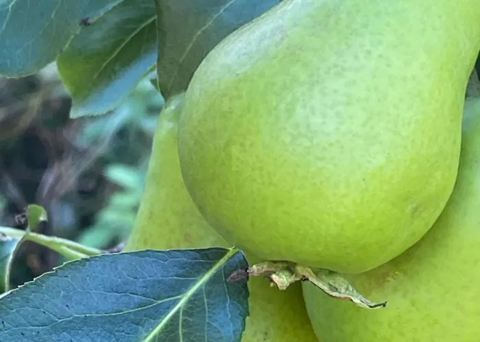 Talo Merikarvian Keskustassa Laehellae Merta! Appartement Merikarvia